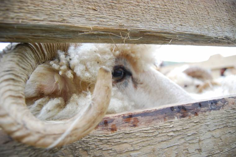Adjuk tovább őseink hagyományait!