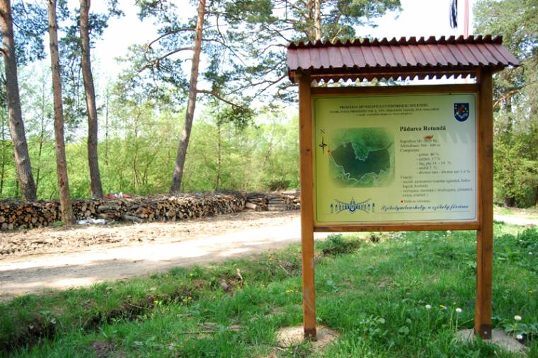 Gyakorlatoznak az udvarhelyi katonaságnál