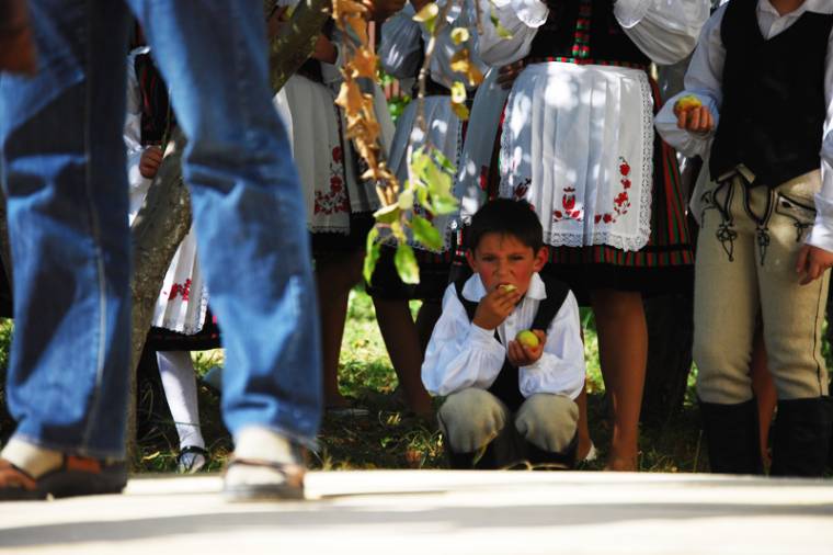 Felavatták a farkaslaki gyümölcsfeldolgozót