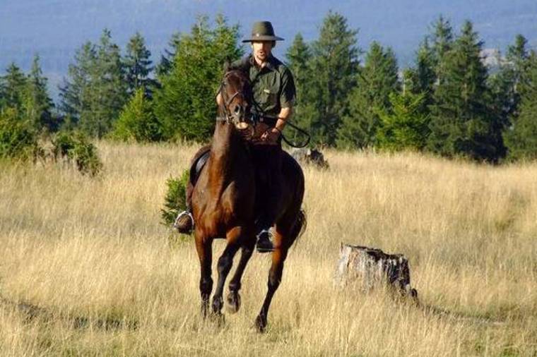 A székely kóboj és a magyar irodalom