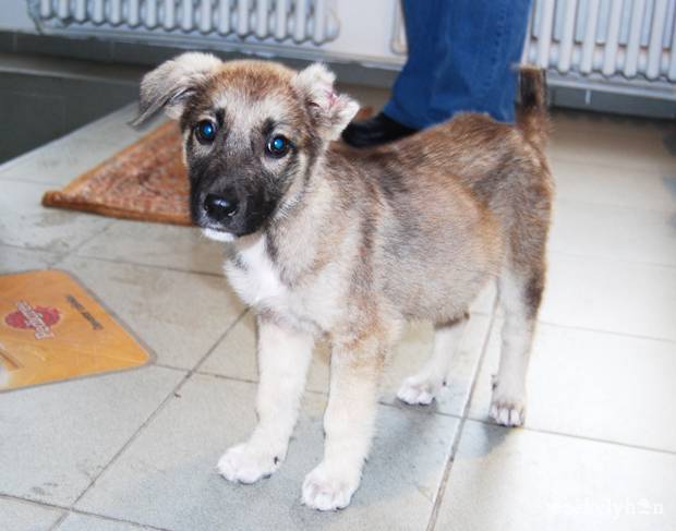 •  Fotó: Bodnár Arthur