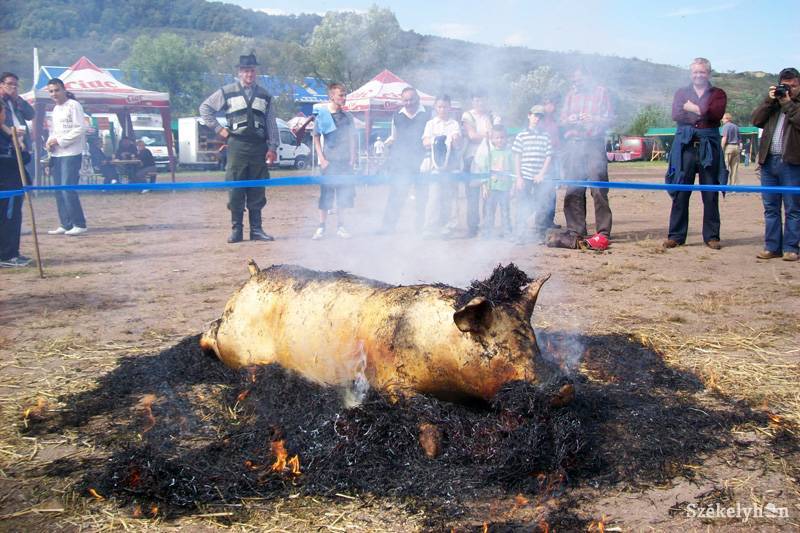 •  Fotó: Antalfi József