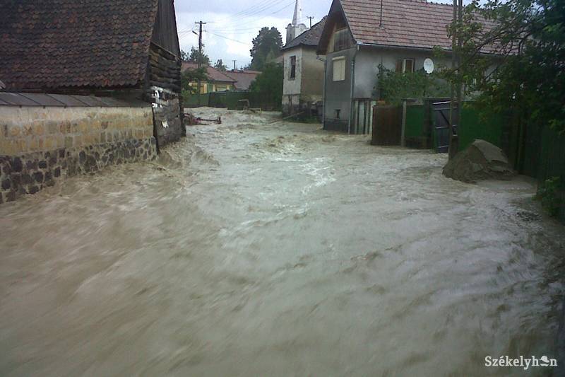 •  Fotó: Pál Gábor