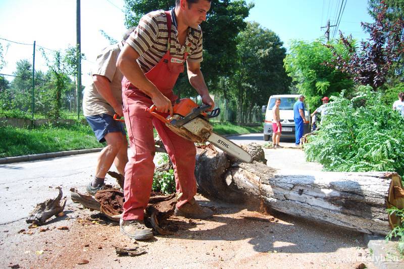 &bullet;  Fotó: Bodnár Arthur