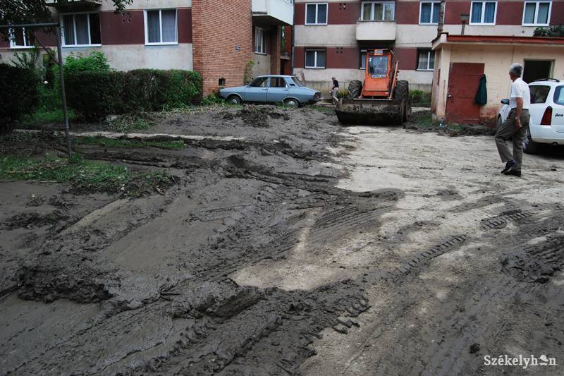 •  Fotó: Bodnár Arthur