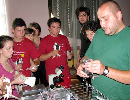 Fiatal állatorvosok táboroztak Énlakán