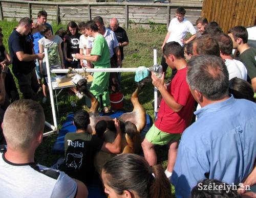 •  Fotó: P. Dávid Tünde