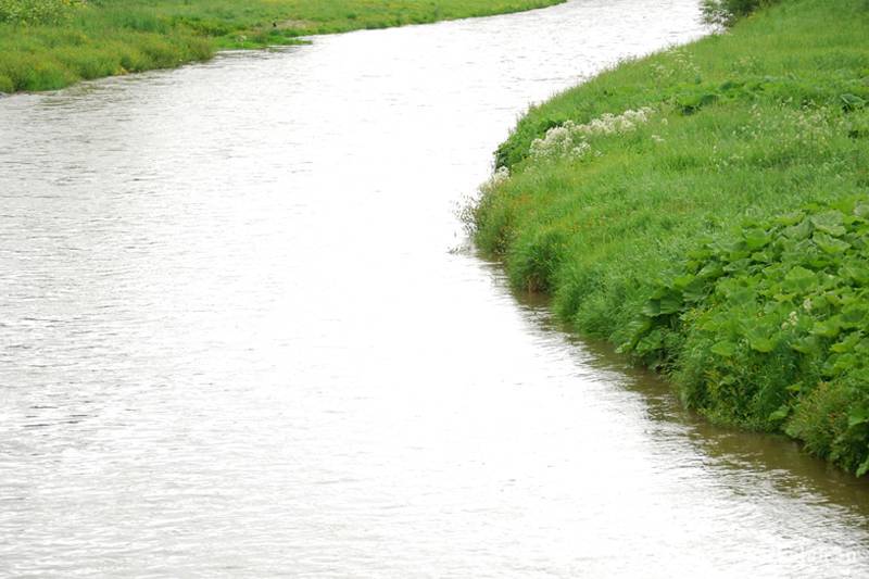 •  Fotó: Bodnár Arthur