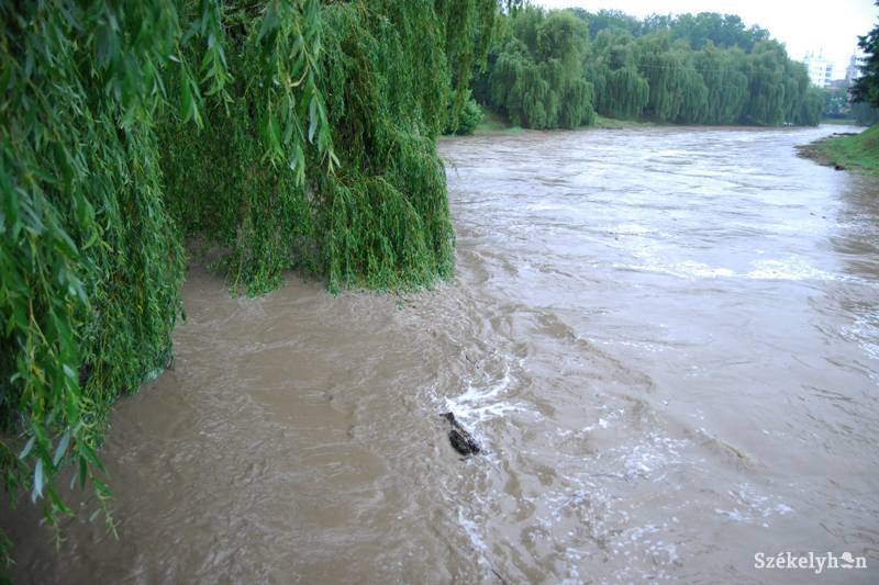 •  Fotó: Bodnár Arthur