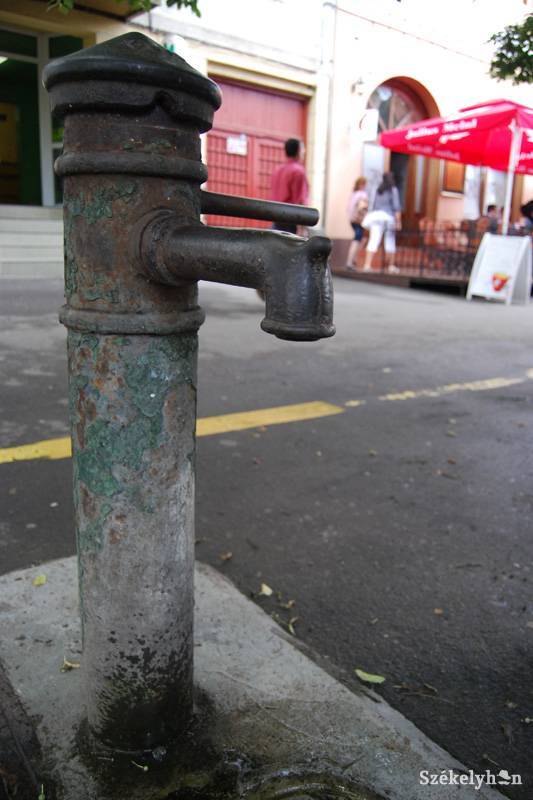 •  Fotó: Bodnár Arthur