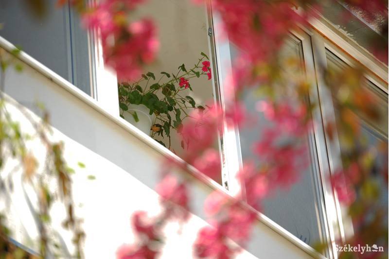 • Fotó: Bodnár Arthur