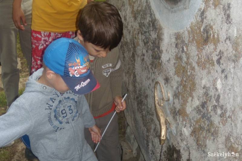 •  Fotó: Pál Gábor