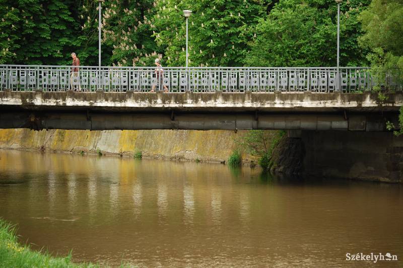 •  Fotó: Bodnár Arthur