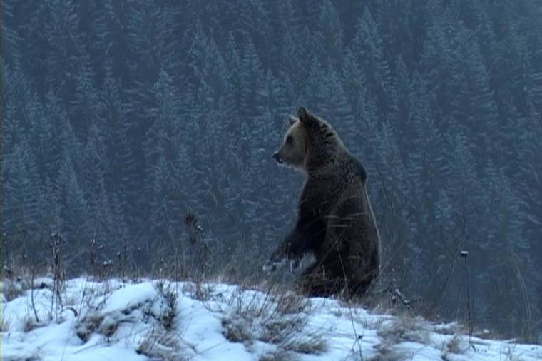 A Szent hegy című filmet vetítik