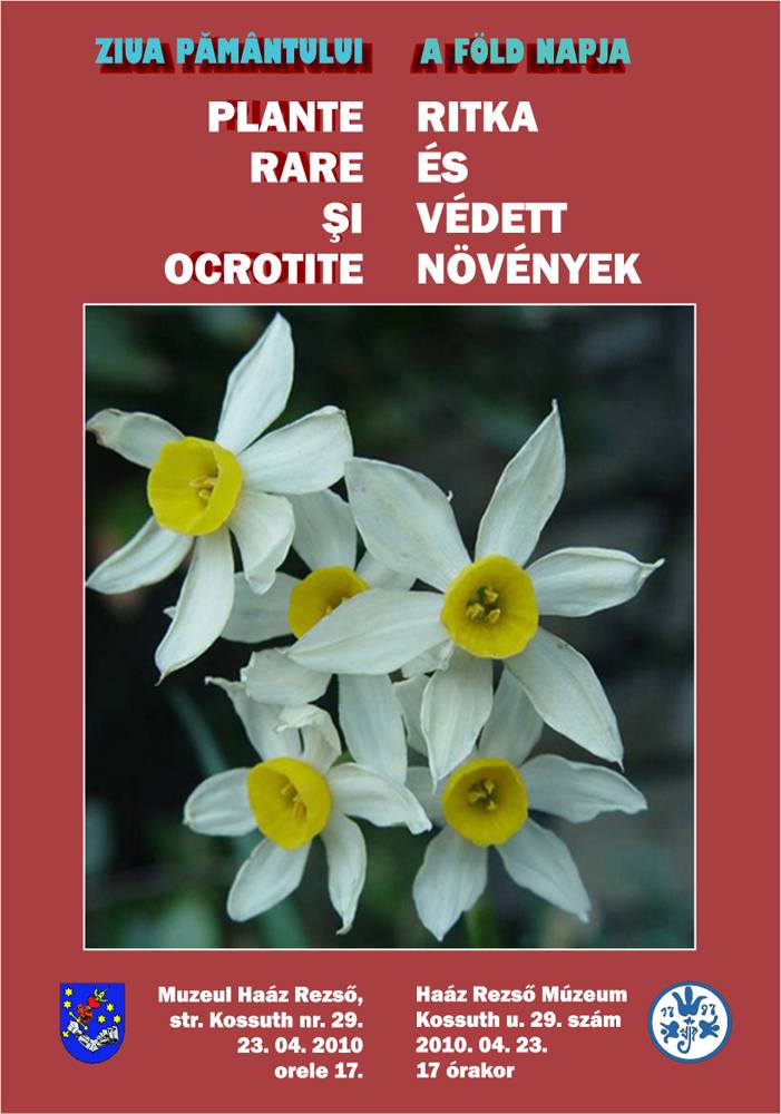 Védett növények kerülnek kiállításra Udvarhelyen