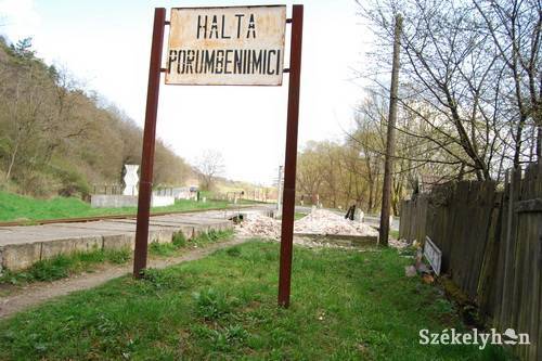 •  Fotó: Bodnár Arthur