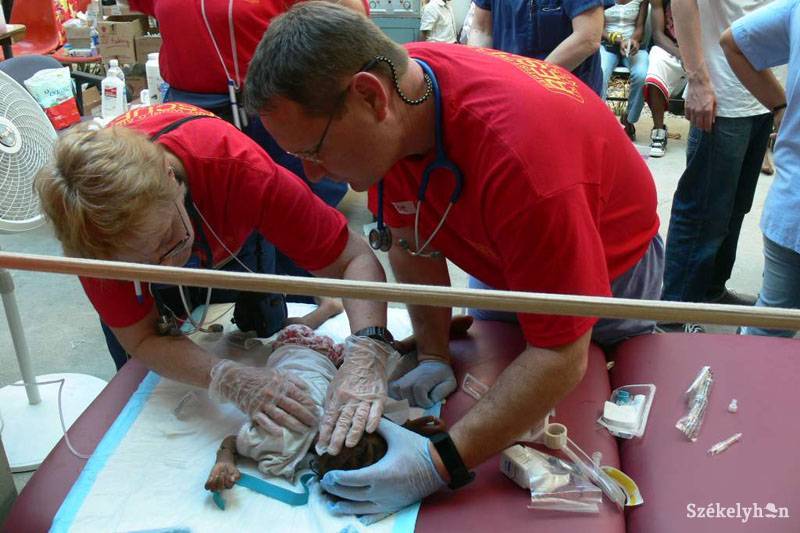 •  Fotó: Lukács Csaba