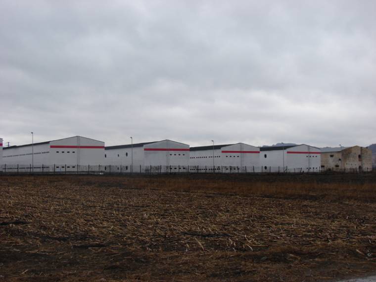 Hamarosan indul a „csirkeüzem”