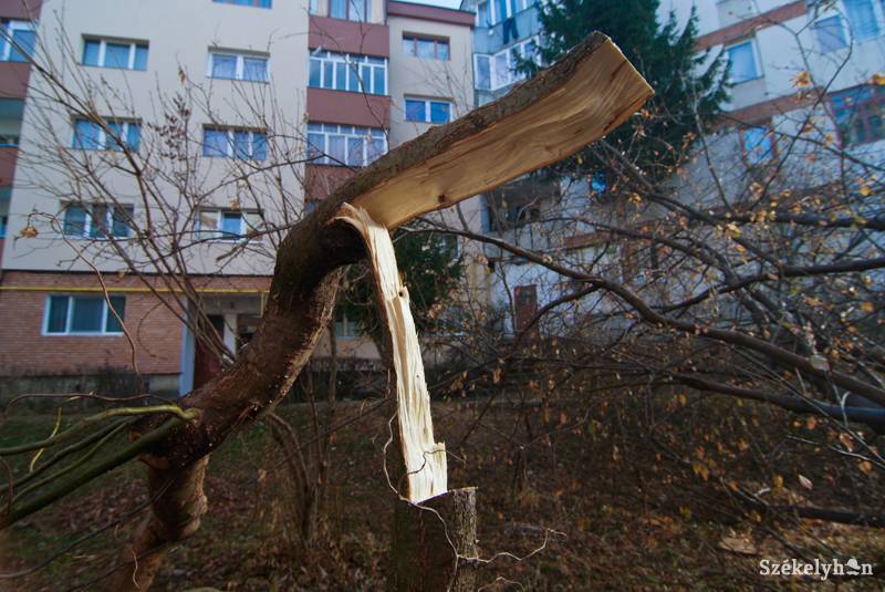 • Fotó: Veres Nándor