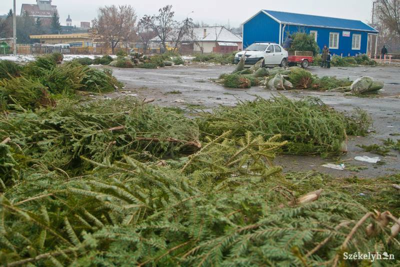 &bullet;  Fotó: Veres Nándor