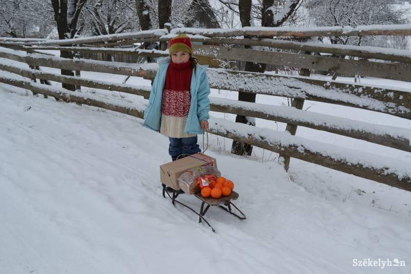 • Fotó: Pál Gábor