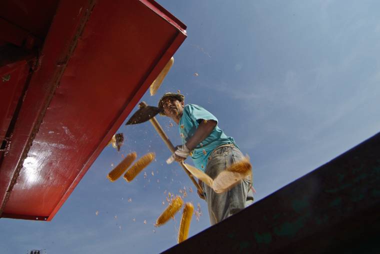 Kényszerérés a szárazság miatt