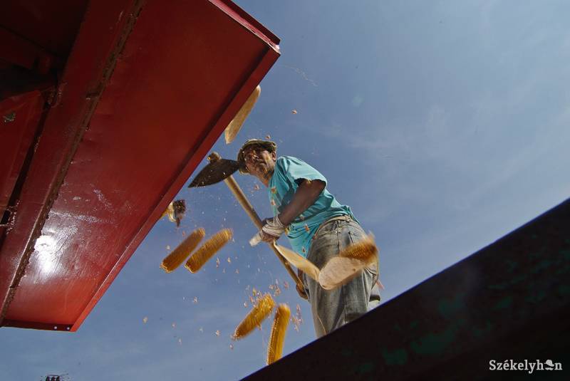 • Fotó: Veres Nándor