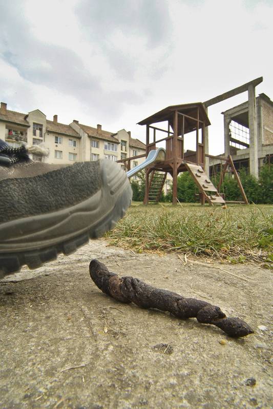 Kutyapiszok: nem használ a büntetés