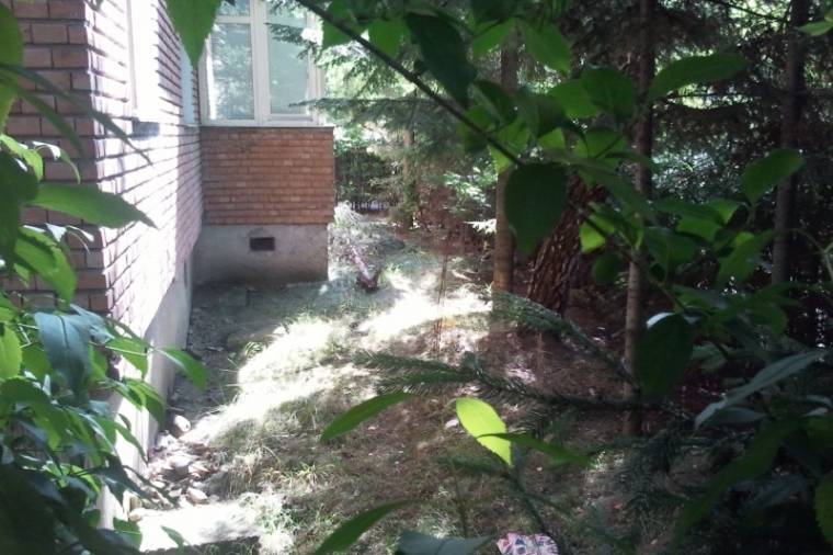 Fákat vágott ki a tömbház előtt