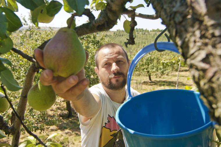 Gyümölcsbank tulajdonosai vagyunk