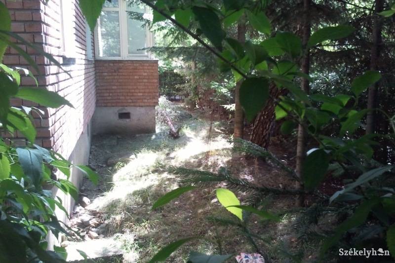 &bullet;  Fotó: Pál Gábor