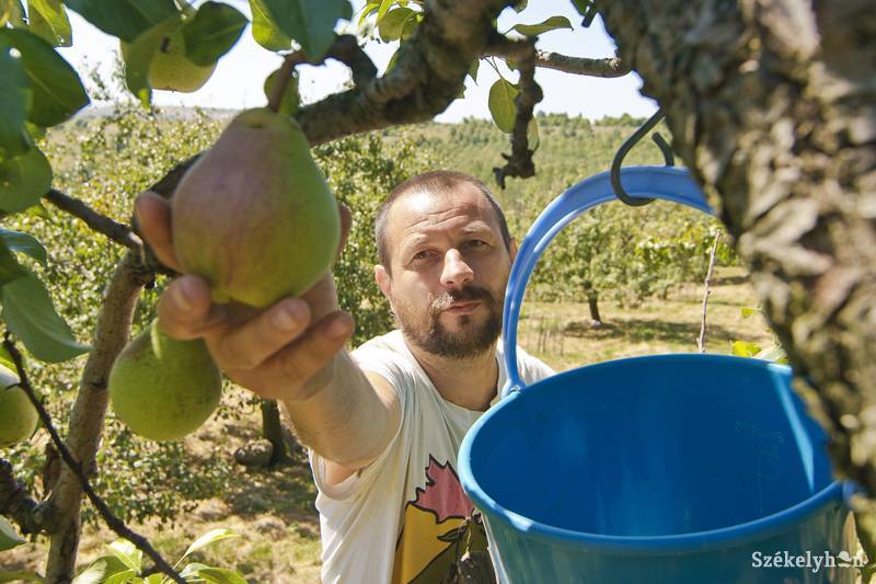 • Fotó: Veres Nándor