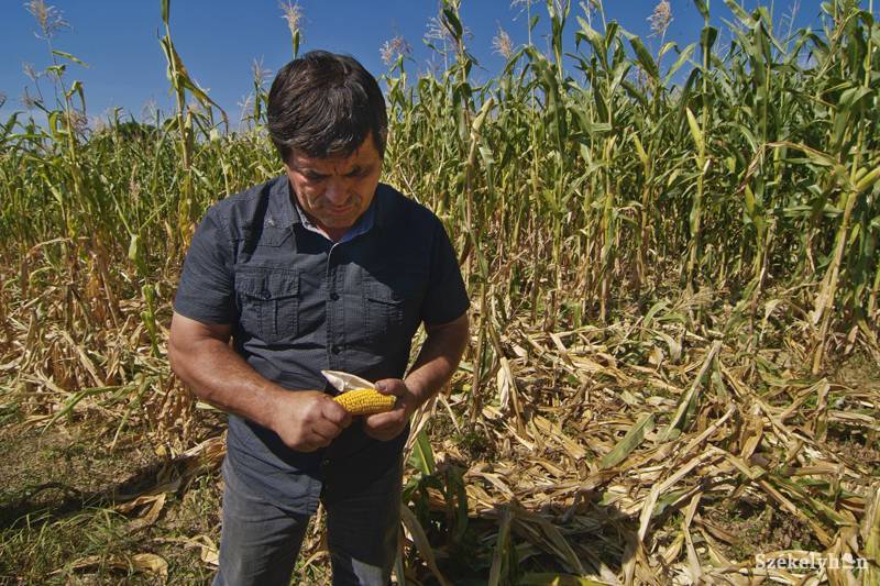 • Fotó: Veres Nándor