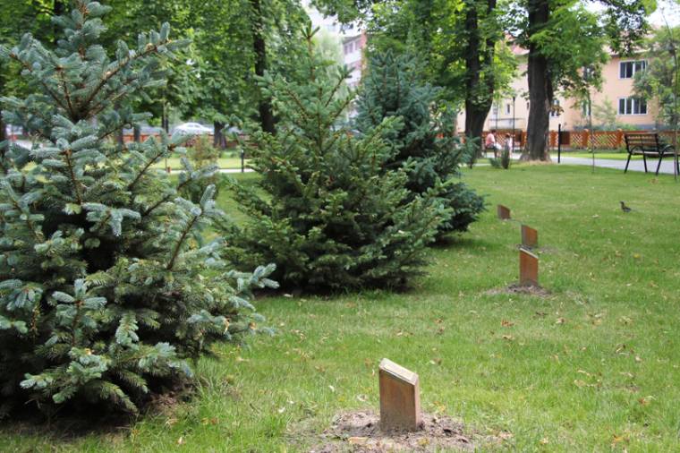 A fák egynegyede szülőkre talált