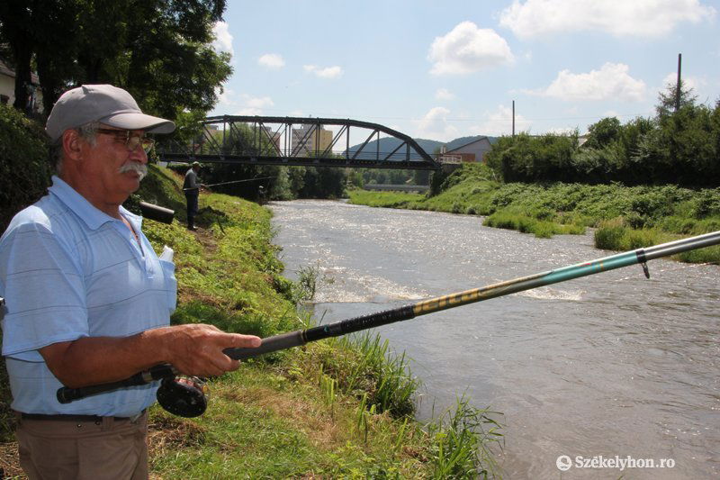 &bullet;  Fotó: Farkas antal