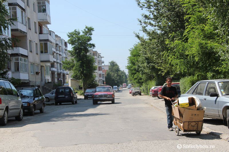 &bullet;  Fotó: ifj. Farkas Antal