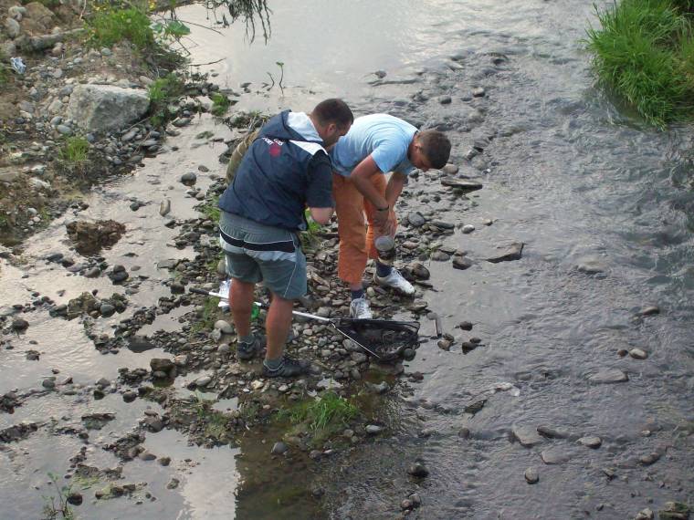 Mérgezés pusztítja a halakat a Nyikóban?