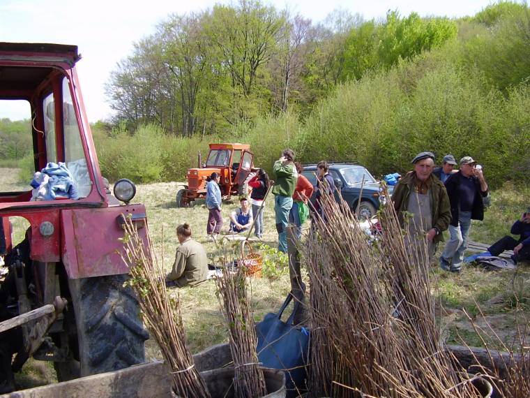 Farcád: százezer facsemetét ültetnek