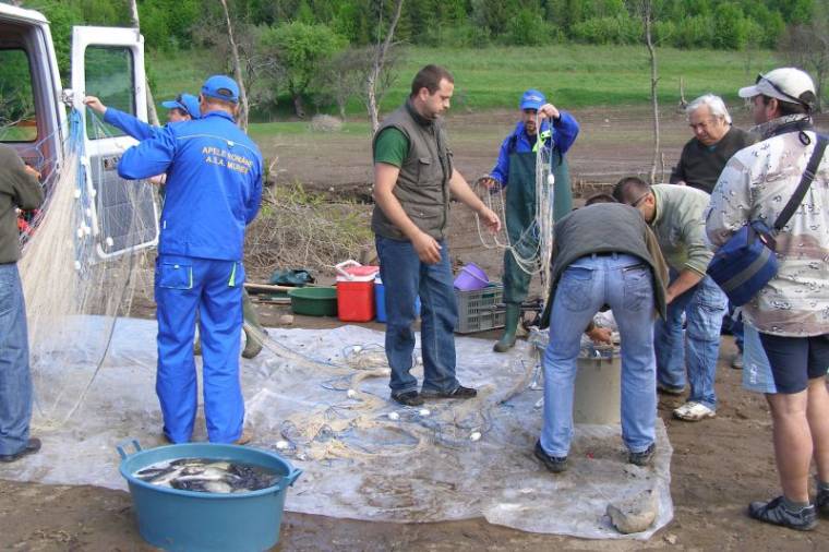 Halakat pusztítottak el a zeteváraljai víztározónál