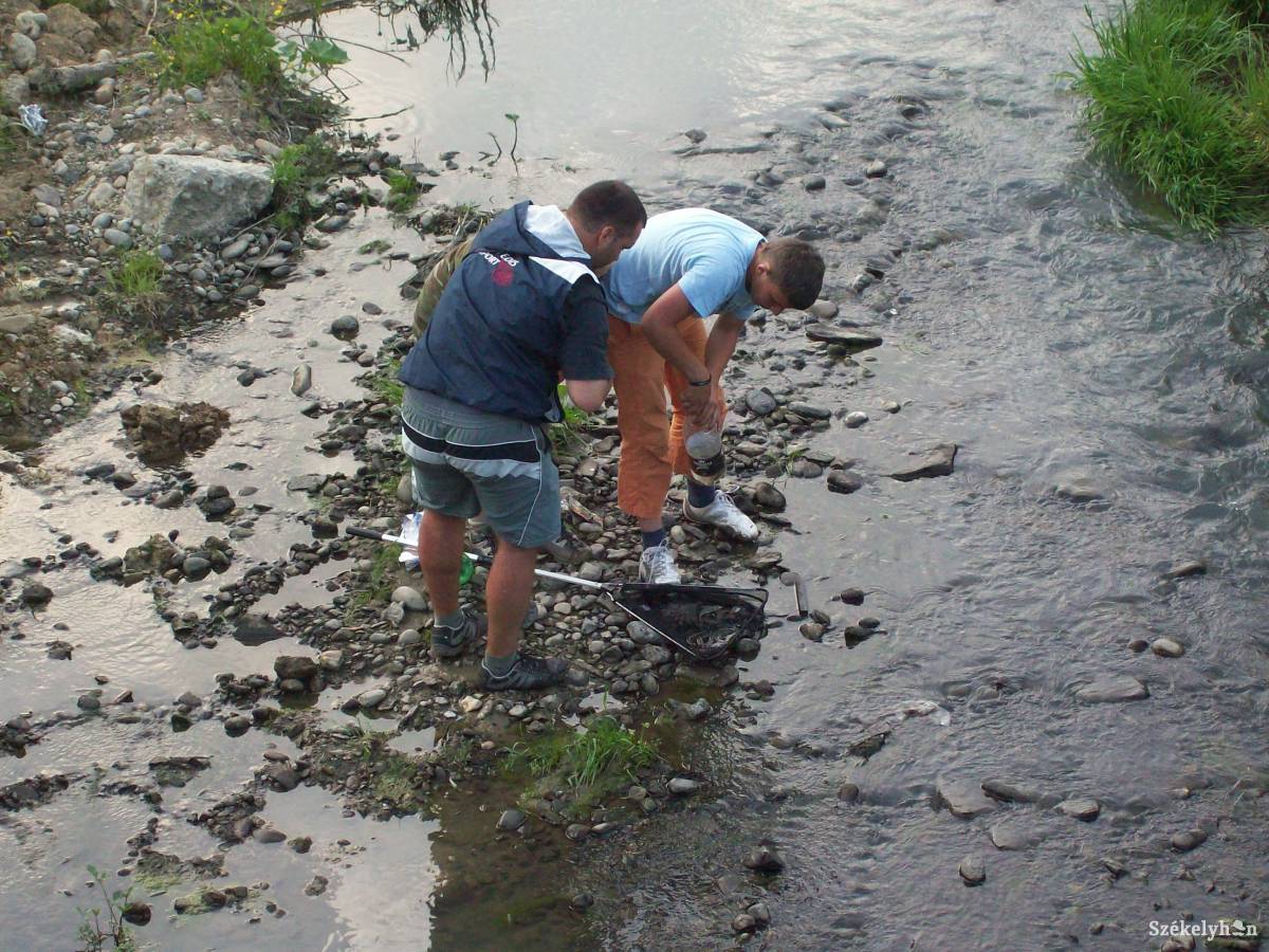 &bullet;  Fotó: Pál Gábor