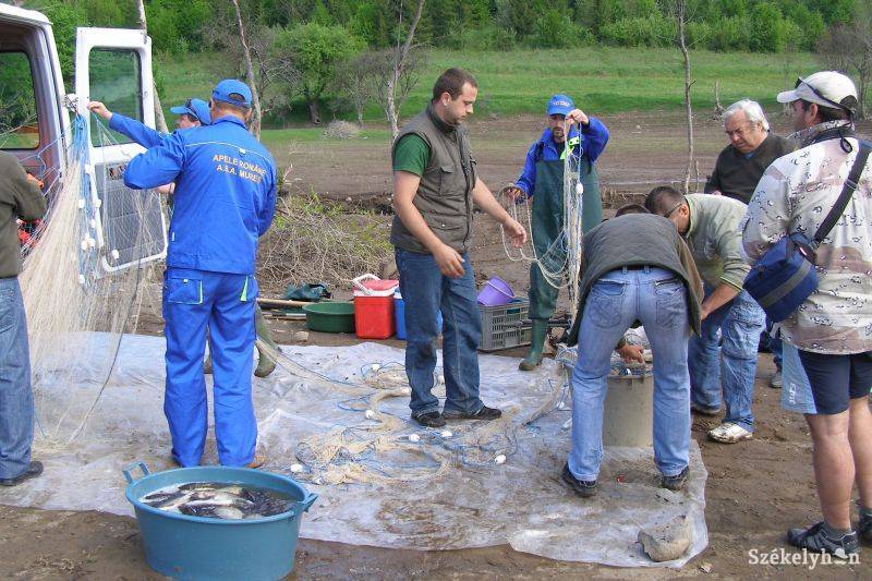 &bullet;  Fotó: Pál Gábor