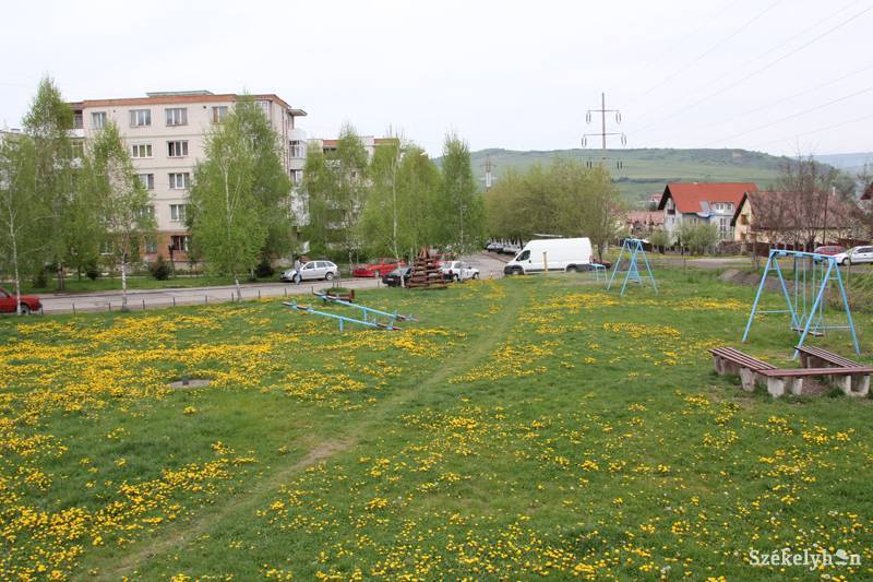 &bullet;  Fotó: Antalfi József