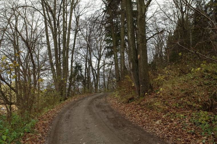 Újabb erdei utak kerültek át önkormányzati tulajdonba