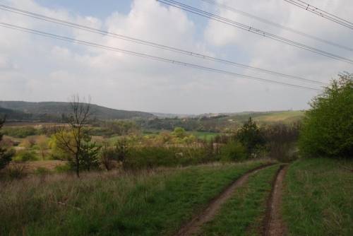 Udvarhelyszéki erdei utak: enyém, tiéd, kié?