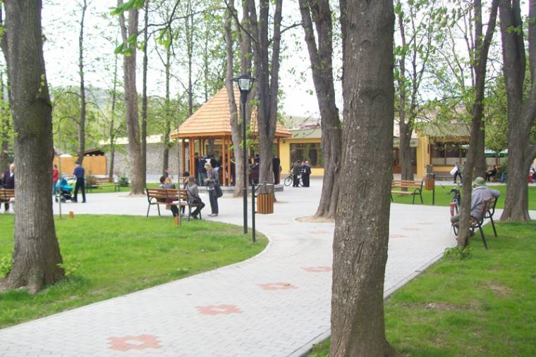 Még több száz fa várja a „szüleit”