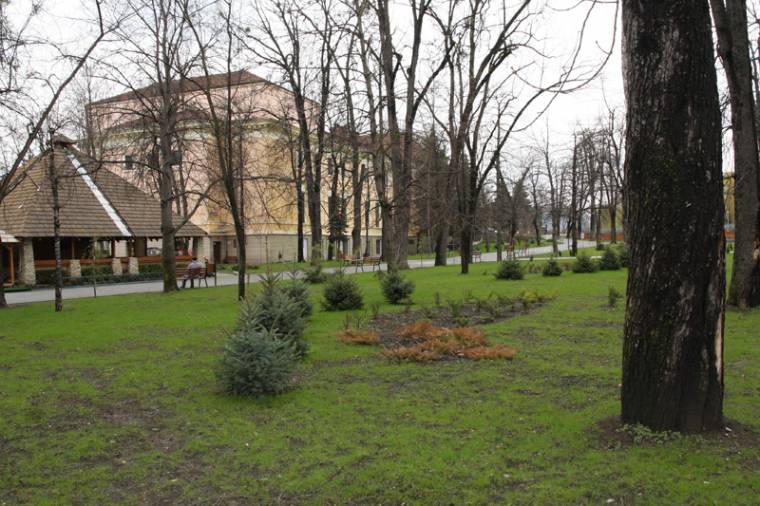 Eddig kevés fát „adoptáltak”