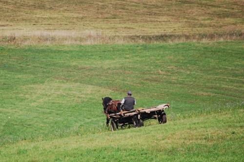Lovat lopott, hogy vasat lophasson