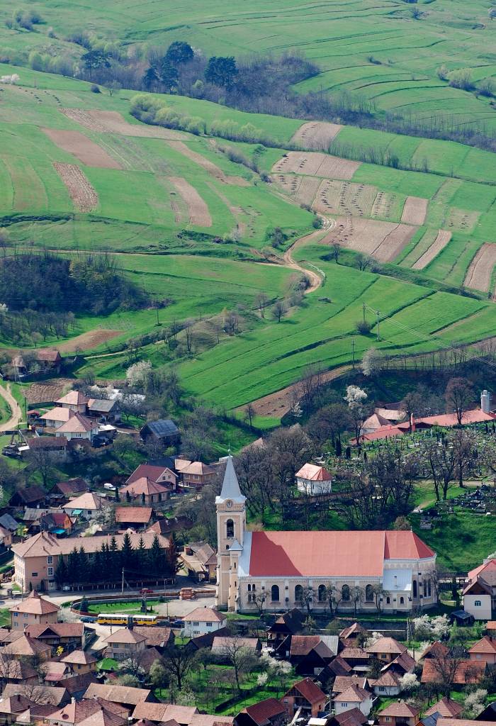 Elnököt választ a Zetelaki Közbirtokosság