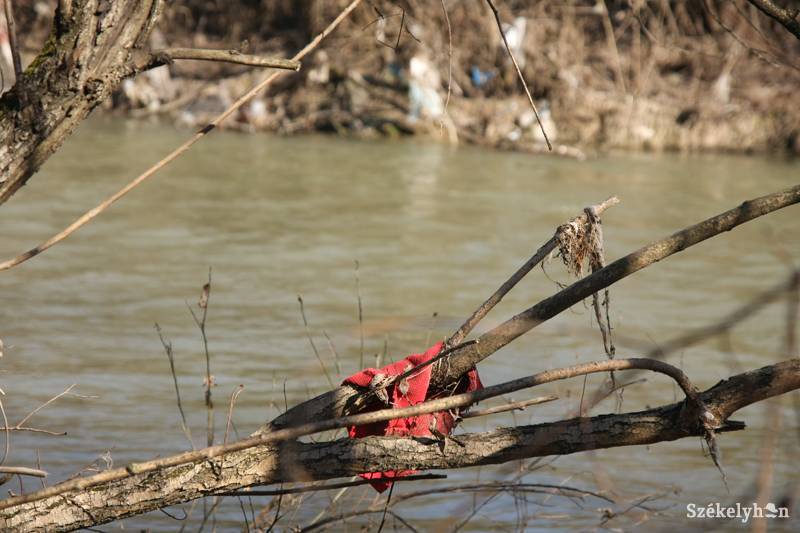 &bullet;  Fotó: Sándor-Nagy Tünde
