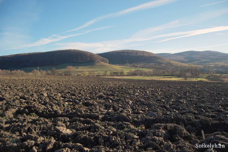 •  Fotó: Sándor-Nagy Tünde